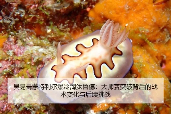 吴易昺蒙特利尔爆冷淘汰鲁德：大师赛突破背后的战术变化与后续挑战